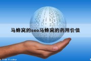 马蜂窝的seo(马蜂窝的药用价值)（马蜂窝的作用和用法）