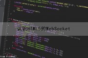 认识HTML5的WebSocket（html5 websocket权威指南.pdf）