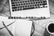 成都最好的seo外包(四川seo外包)（成都网站seo外包）