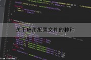 关于应用配置文件的种种（关于应用配置文件的种种说法）