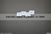 批量泛链接二级提交工具无限制提交 SEO 新视野