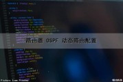 路由器 OSPF 动态路由配置（路由器ospf动态路由配置）