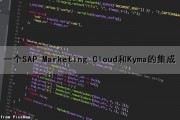 一个SAP Marketing Cloud和Kyma的集成（sap与mes集成）