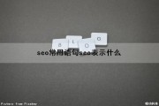 seo常用语句(seo表示什么)（seo常用术语有哪些,请列举几个你熟悉的）