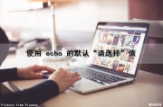 使用 echo 的默认“请选择”值（echo选项）