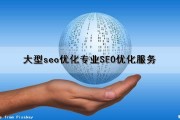 大型seo优化(专业SEO优化服务)（大型网站seo方案）