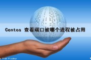Centos 查看端口被哪个进程被占用（centos查看端口占用情况）