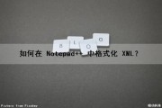 如何在 Notepad++ 中格式化 XML？