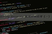 Spring Security 权限控制原理《一》（springsecurity权限控制的原理）